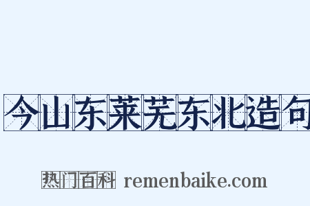 今山东莱芜东北造句是什么意思的图片